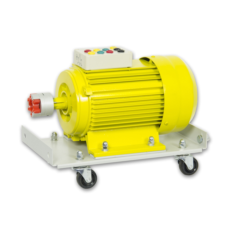 1000W AC & DC MOTOR - mcpsh